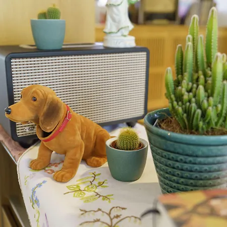 ホテル Tante Alma's Bonner